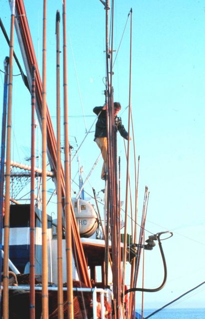 After fishing, any light damage to the poles is repaired. Picture