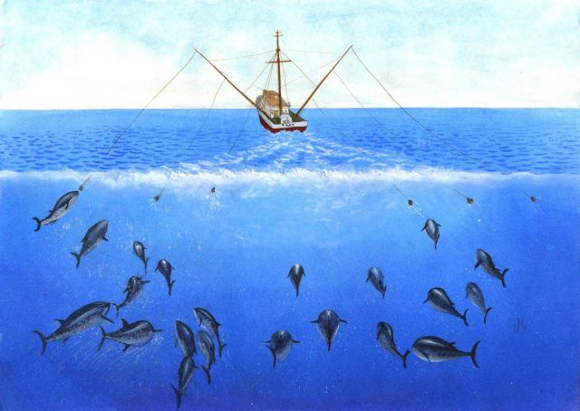 Artist's conception of tuna trolling operation. Picture