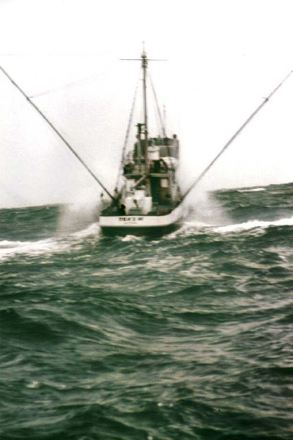 Fishing vessel trolling for tuna in the Pacific. Picture