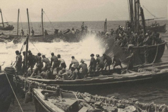 Tuna trap fishing at Sancti Petri. Picture