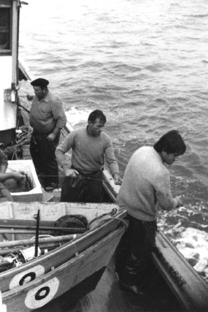Tuna caught with rod and reel and live bait Picture