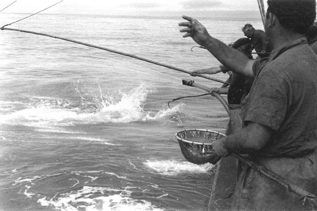 Pole and line fishing Picture