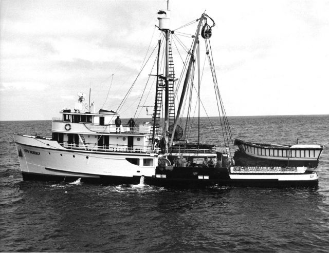 The CAPE BEVERLY, one of the first commercial tuna vessels outfitted for purse seining operations Picture