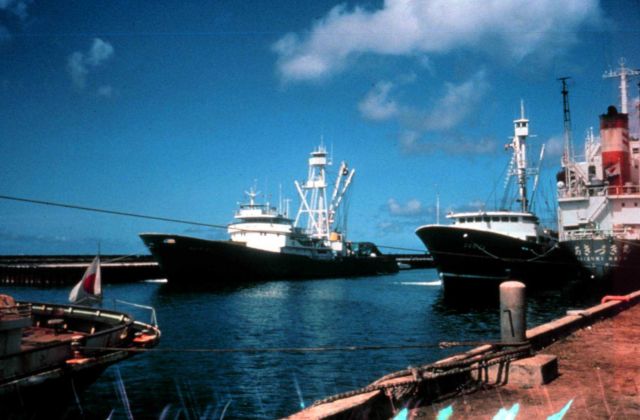 Modern tuna purse seiners in port. Picture