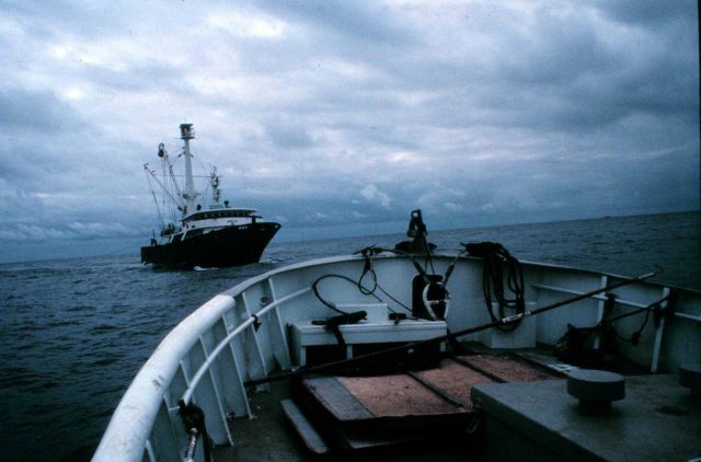 Tuna purse seiner fishing in the eastern Atlantic Ocean. Picture