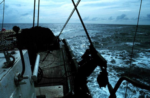 Tuna purse seiner is deploying net with assistance of workboat which is seen at far end of net near horizon on upper right of picture Picture