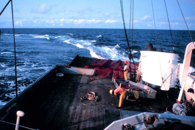 Ship is finishing deployment of purse seine net Picture