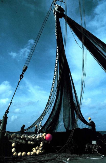 A view of the power block as the net is coming on board. Picture