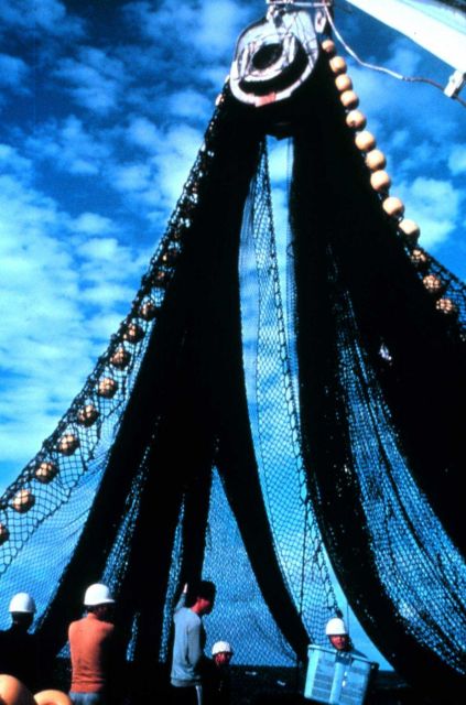 A view of the power block as the net is coming on board. Picture