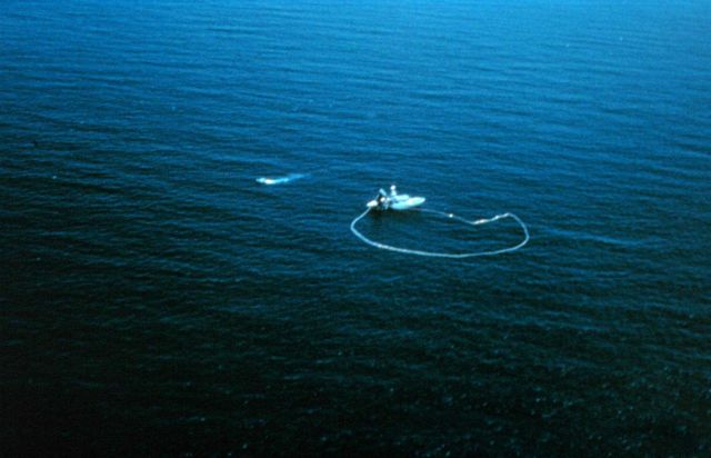 An aerial view of a purse seiner after the purse has been closed and the net is being hauled aboard. Picture