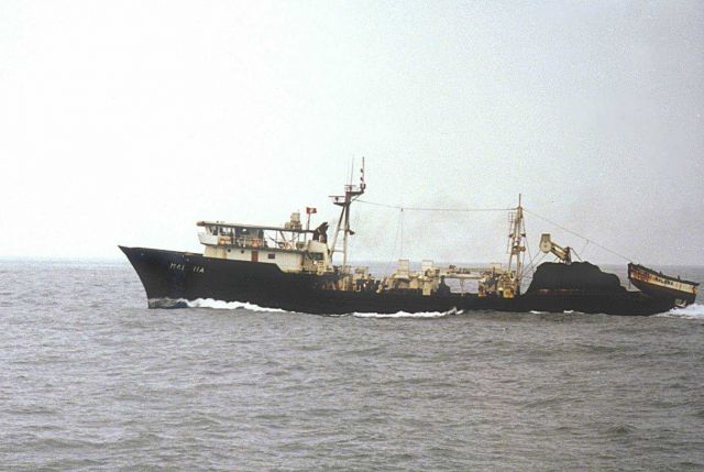 Peruvian purse seiner fishing for small pelagic fish. Picture