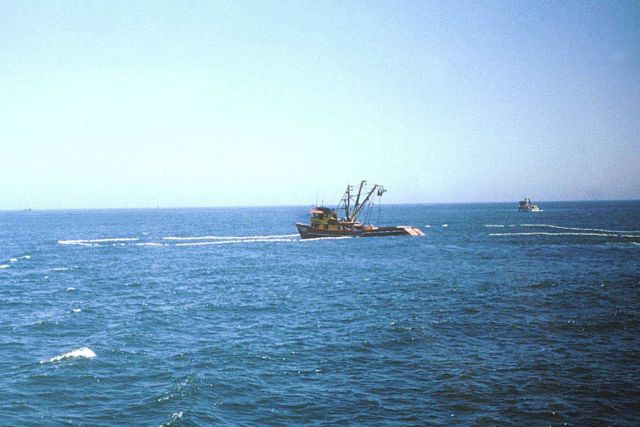 Peruvian purse seiner fishing for small pelagic fish. Picture