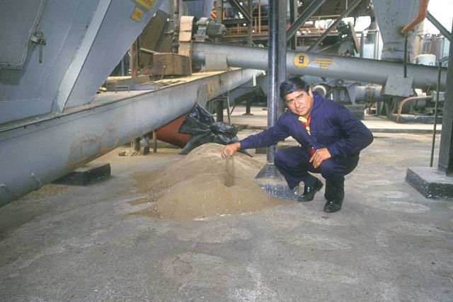 Anchovy fishmeal Picture