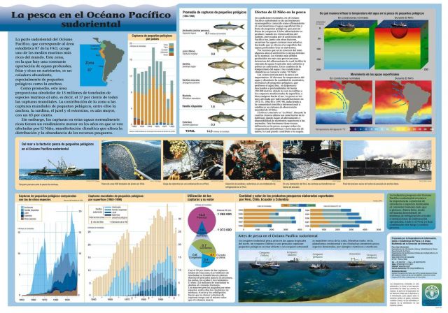 An educational poster produced by the United Nations Food and Agriculture Organization (FAO) for the Southeast Pacific Ocean area. Picture
