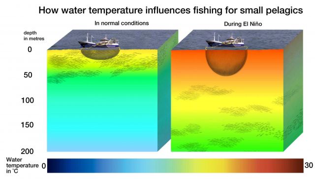 The result of changes of water temperature on fisheries is significant Picture