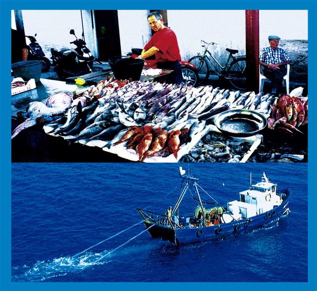 Demersal Fisheries: Species living near the bottom are exploited by trawlers Picture
