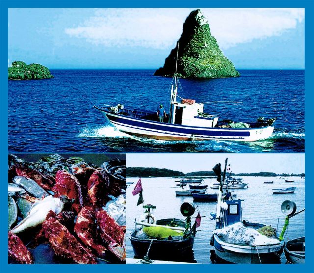 Littoral Fisheries: Coastal species are exploited by small-scale gear (gill nets , trammel nets, bottom longlines and traps) Picture