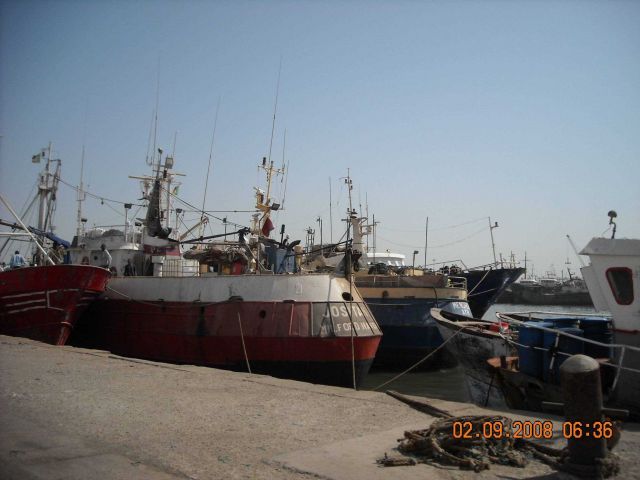 Touring Dakar harbor fisheries vessels observing methods of industrialized fishing in Senegalese waters Picture
