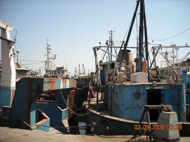 Touring Dakar harbor fisheries vessels observing methods of industrialized fishing in Senegalese waters Picture