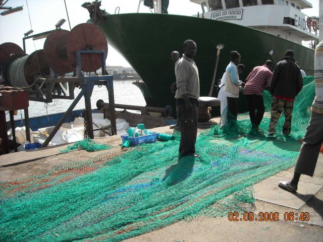 Touring Dakar harbor fisheries vessels observing methods of industrialized fishing in Senegalese waters Picture