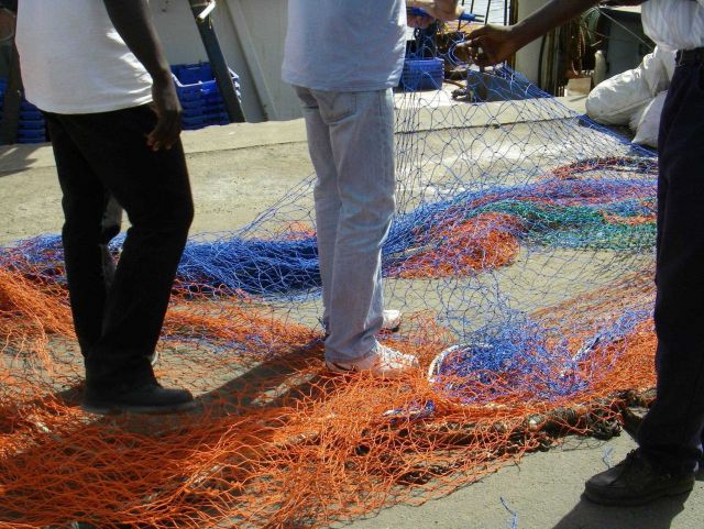 Touring Dakar harbor fisheries vessels observing methods of industrialized fishing in Senegalese waters Picture
