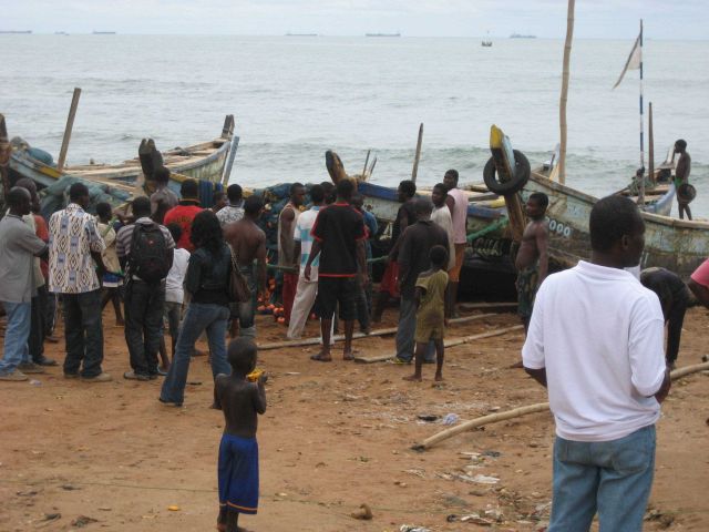 Ghanaian artisanal boats landing fish Picture