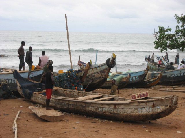 Ghanaian artisanal boats landing fish Picture