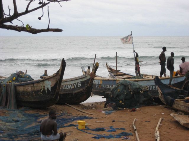 Ghanaian artisanal boats landing fish Picture
