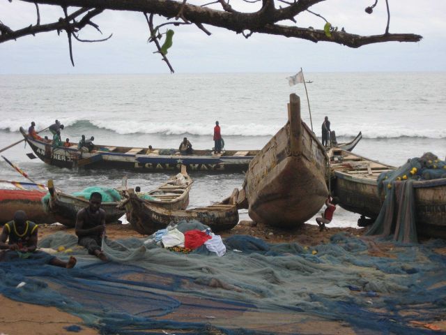 Ghanaian fishers mending nets Picture