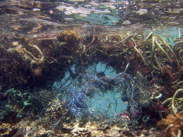 Tangled marine debris consisting of derelict nets, rope, and hooks. Picture