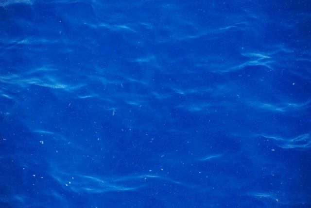 Small plastic debris visible from the surface of the water during an expedition in the Pacific Ocean on the OKEANOS EXPLORER Picture