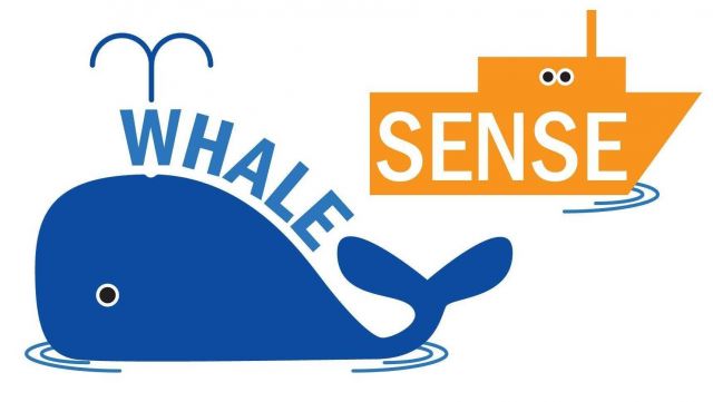 Whale Sense Logo, signifying a joint endeavor of private industry, conservation groups, and NOAA to encourage whale-watch tour operators from Maine to Picture