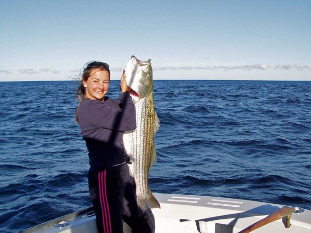Angela Annino of Connecticut holds up an impressive striped bass, one of New England's most popular sport fish Picture