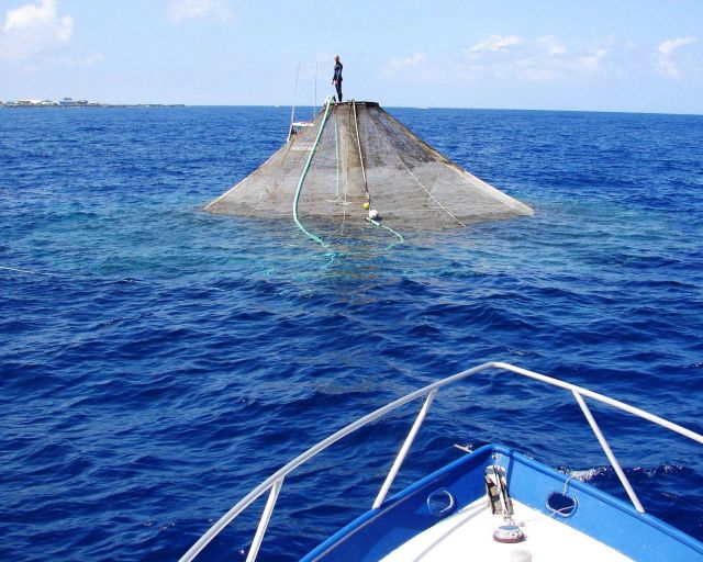 A submersible fish cage sitting on the surface for cleaning and inspection. Picture