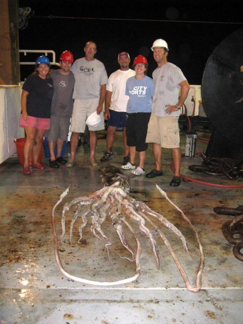 NOAA scientists with giant squid aboard the NOAA research vessel GORDON GUNTER. Picture