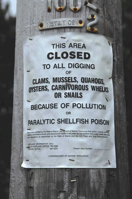 Public warning signs like these are posted in areas that have been closed due to high level of toxin in shellfish. Picture