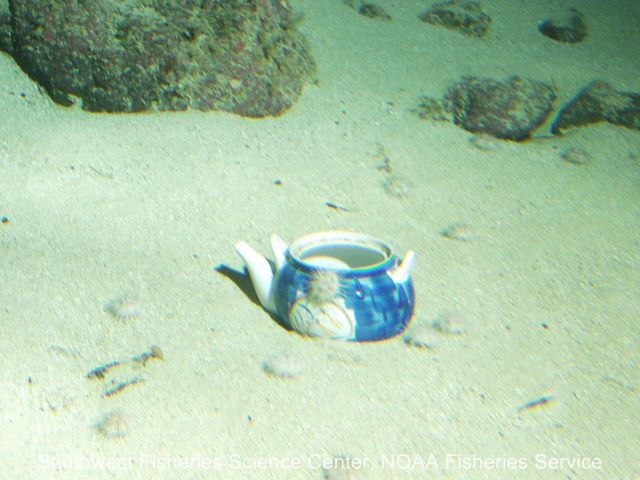 A teapot on the seafloor Picture