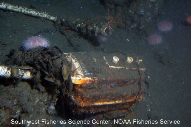 A vacuum cleaner found on the seafloor Picture