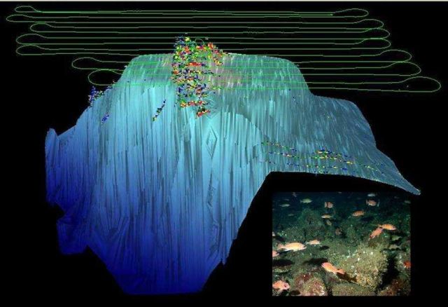 3-D image of bank with AUV trackline superimposed and acoustic fish survey (colored circles) from AUV shown Picture