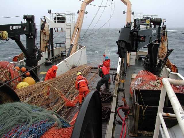 Trawling operations on the NOAA Ship MILLER FREEMAN Picture