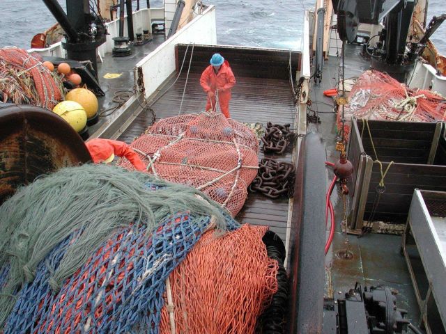 Trawling operations on the NOAA Ship MILLER FREEMAN Cod-end on deck. Picture