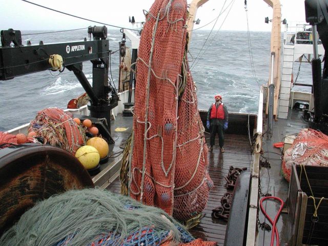 Trawling operations on the NOAA Ship MILLER FREEMAN Lifting the cod end for dumping in sorting bin. Picture