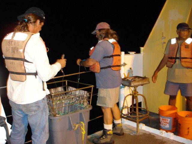 Longline fishing research on the NOAA Ship OSCAR ELTON SETTE Picture