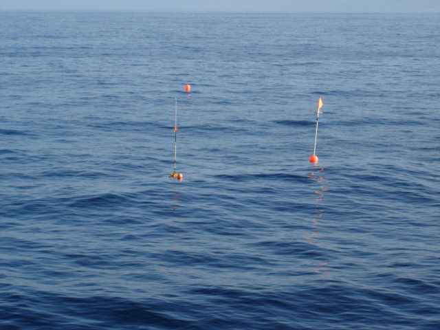 Longline fishing research on the NOAA Ship OSCAR ELTON SETTE Picture