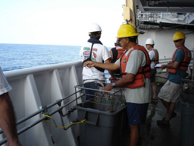 Longline fishing research on the NOAA Ship OSCAR ELTON SETTE Picture