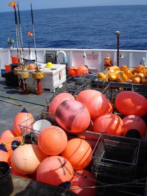 Longline fishing research on the NOAA Ship OSCAR ELTON SETTE Picture