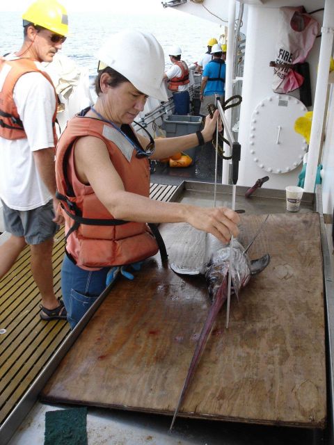 Longline fishing research on the NOAA Ship OSCAR ELTON SETTE Picture