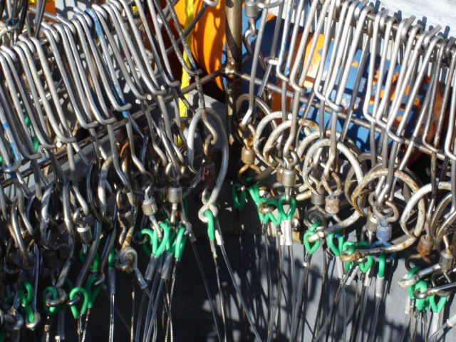Longline fishing research on the NOAA Ship OSCAR ELTON SETTE Picture