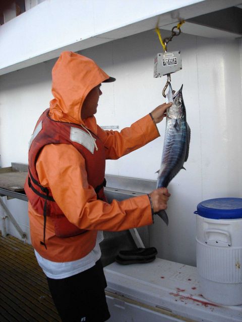 Longline fishing research on the NOAA Ship OSCAR ELTON SETTE Picture
