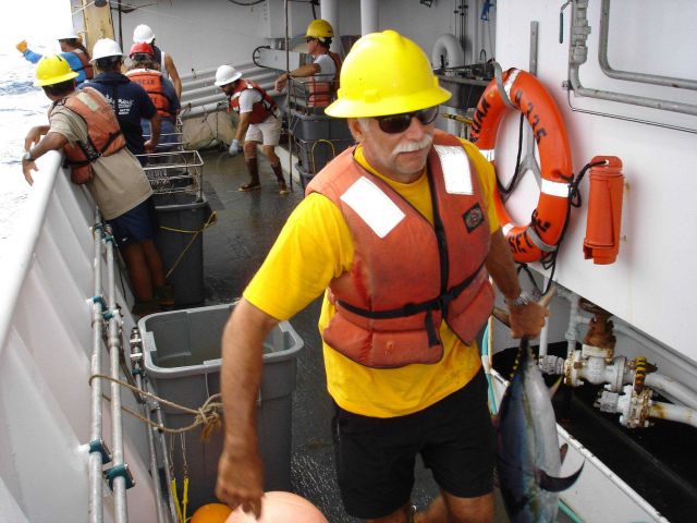 Longline fishing research on the NOAA Ship OSCAR ELTON SETTE Picture